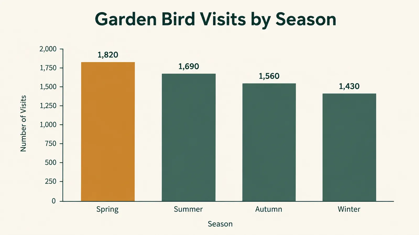 Bar chart showing typical garden bird species count by season at a well-stocked feeder, labelled Spring, Summer, Autumn, Winter