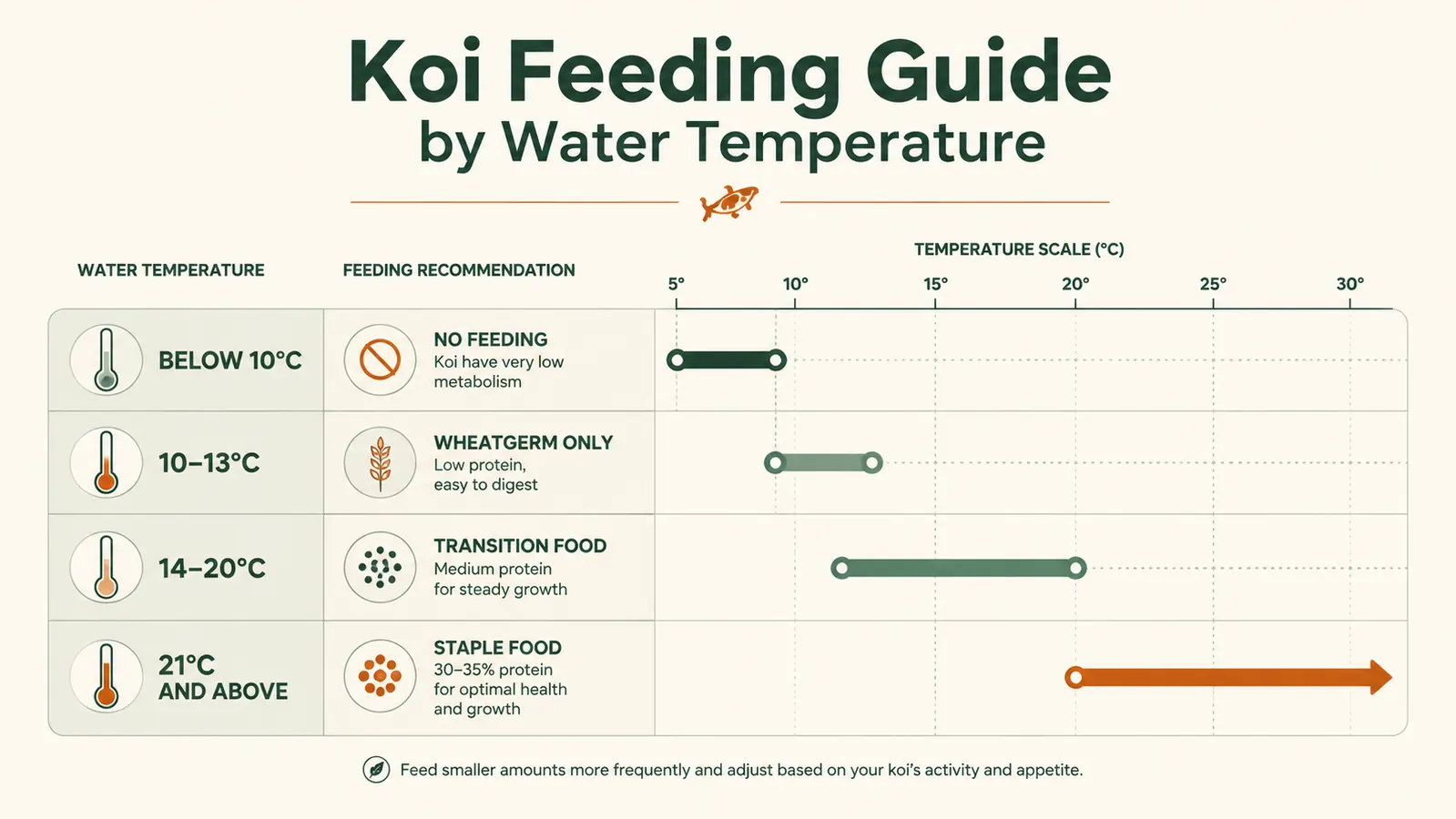 Chart showing water temperature ranges and corresponding recommended protein percentages for koi food across the four seasons